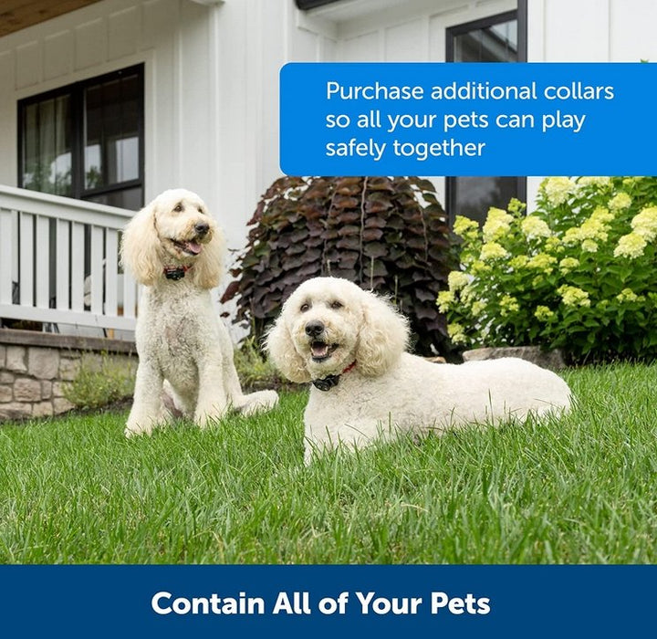 BowLift | Wireless Dog Fence Collar System | Waterproof, Rechargeable &amp; Ideal for Home Training and Outdoor Adventures