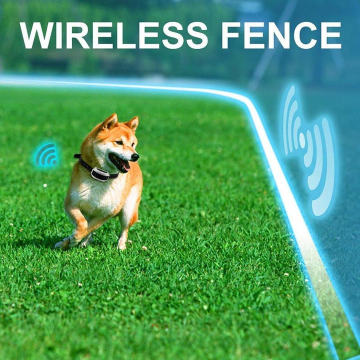 BowLift | Wireless Dog Fence Collar System | Waterproof, Rechargeable &amp; Ideal for Home Training and Outdoor Adventures